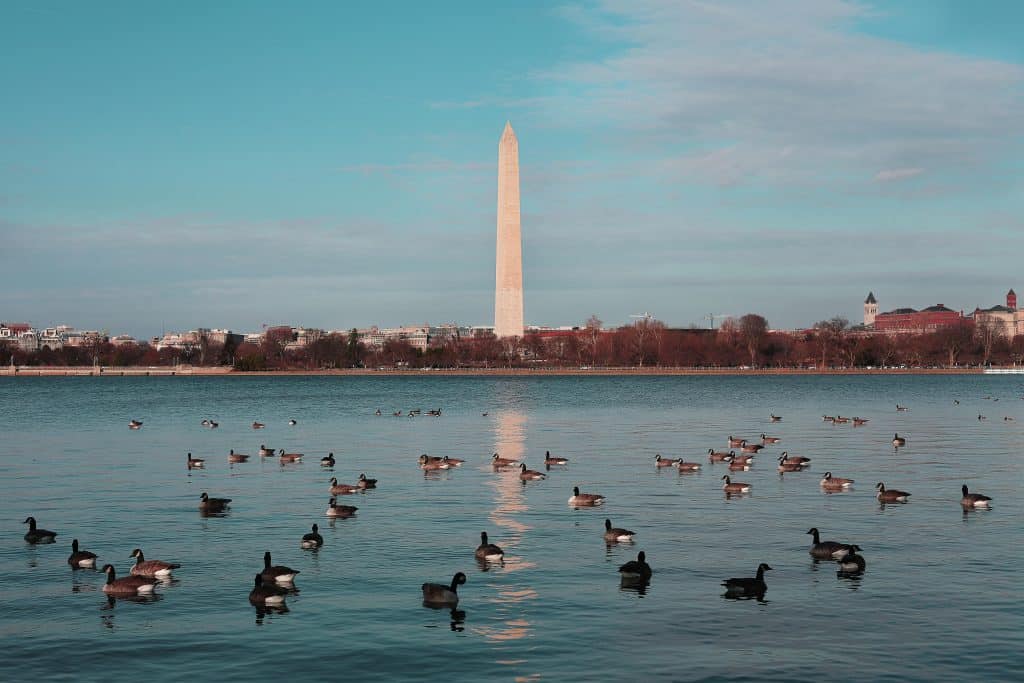 D.C. Mayor Takes Another Shot at Legal Poker
